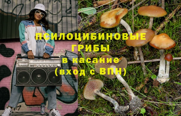 амф Костерёво