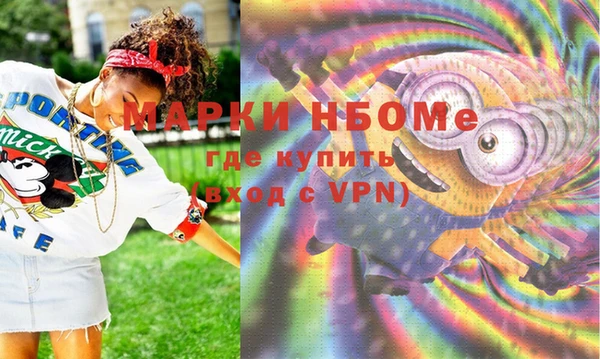 стаф Козловка