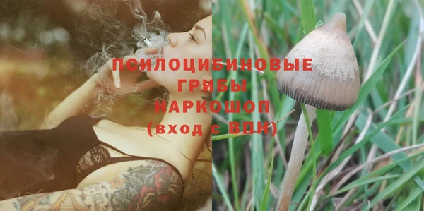 синтетический гашиш Коряжма