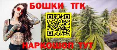 МДПВ Гатчина
