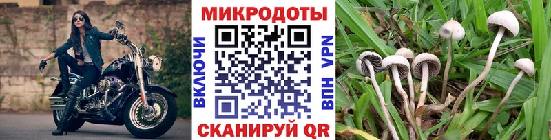 Псилоцибиновые грибы MAGIC MUSHROOMS  Курчатов 