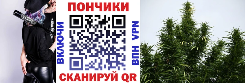 Конопля OG Kush  Курчатов 