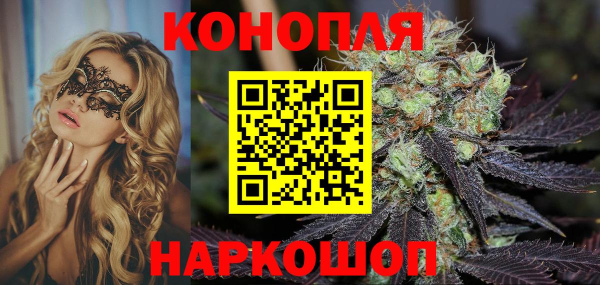 Бошки Шишки сатива Курчатов